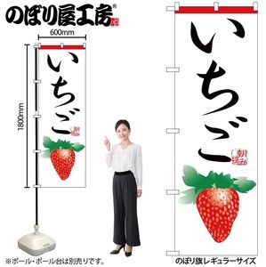 F&B Banner Strawberry
