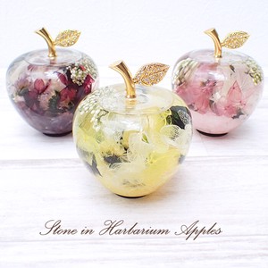 Object/Ornament Herbarium Apple Presents Natural 1-pcs Made in Japan