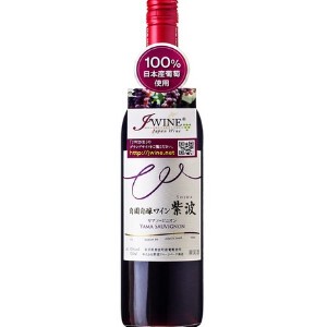 紫波 ヤマソービニオン 赤  750ml【赤ワイン】【日本ワイン】