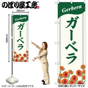 Banner Gerbera