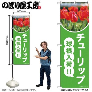 Banner Tulips