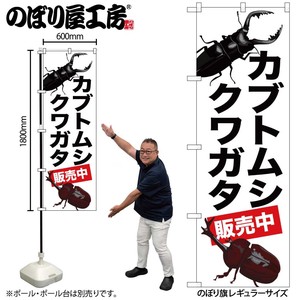 Store Supplies Banners Beetle Stag-beetle