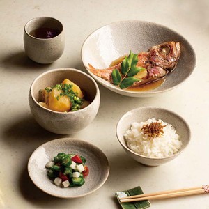 Mino ware Main Dish Bowl bowl Made in Japan
