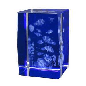 3Dクリスタル(M)　クマノミと熱帯魚　ブルー 120-677