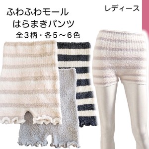 Belly Warmer/Knit Shorts Plain Color Border Ladies'