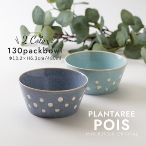 Mino ware Main Dish Bowl Plant Pottery Made in Japan
