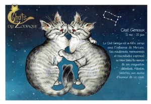 セブリーヌ 【 キャット ポストカード 】 Chat Gemeaux ふたご座 猫 ネコ はがき DU ZODIAQUE 十二星座