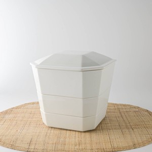 Mino ware Main Dish Bowl White Set of 4 Made in Japan