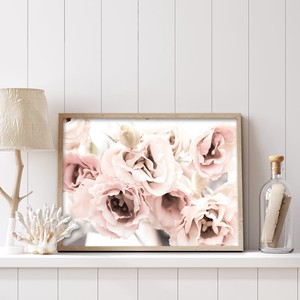 Poster Flower Pink Pudding M