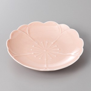 Main Plate Cherry Blossom Arita ware 15cm