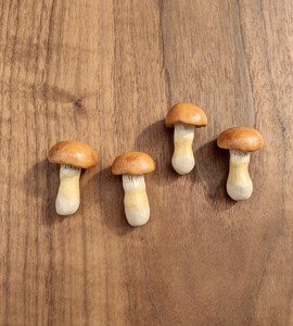 Chopsticks Rest Mushrooms
