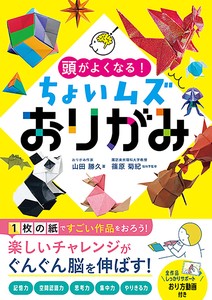 Children's Literature/Fiction Handicrafts/Crafts Book Origami