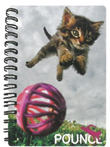 3Dノート（A6サイズ）POUNCE 猫のフレッド・フリンストーン