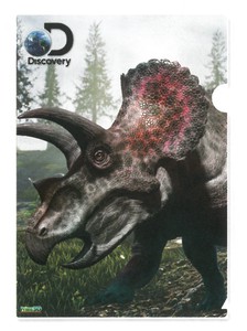 【恐竜】3Dクリアホルダー　ディスカバリー　トリケラトプス　18563
