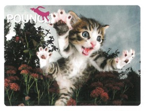 【動物】3Dポストカード　POUNCE　猫びっくり！　18752