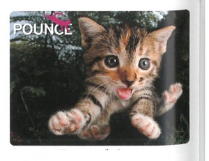 【動物】3Dポストカード　POUNCE　猫のファズバケット　18755