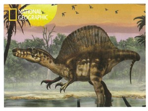 【ジグソーパズル】3Dパズル150ピース　ナショナルジオグラフィック　スピノサウルス　10809