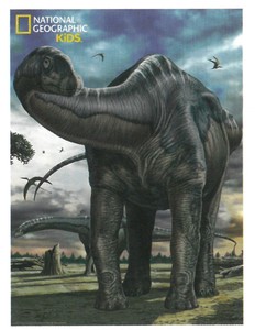 【ジグソーパズル】3Dパズル150ピース　ナショナルジオグラフィック　アルゼンチノサウルス　10810