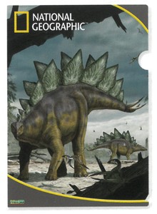 【恐竜】3Dクリアホルダー　ナショナルジオグラフィック　ステゴサウルス　18433