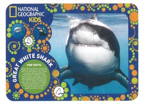 【海の生き物】3Dランチョンマット　ナショナルジオグラフィック　サメ　40103