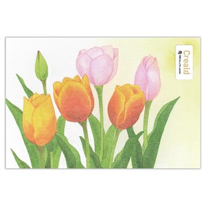 Postcard Tulips Made in Japan