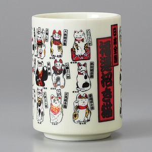 Mino ware Japanese Teacup