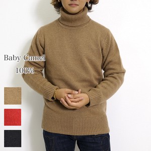 Sweater/Knitwear Pullover Knitted Turtle Neck Men's