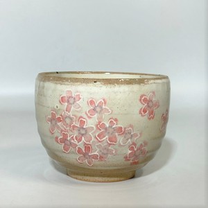 桜さくら（赤）　いっぷく碗　【日本製  陶器  美濃焼】