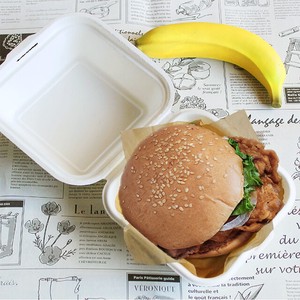 Disposable Tableware Lunch Box