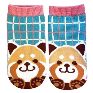 儿童袜子 熊猫