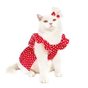 犬猫 ペット服　ドレス ドッド柄のワンピーススカート