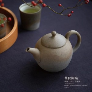 Tokoname ware Japanese Teapot Small Made in Japan