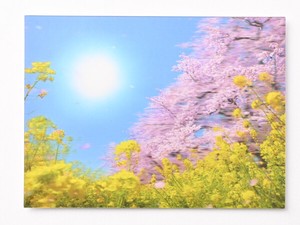 サクラ3Dポストカード ■レンチキュラー加工により立体的に見える ■サクラと風景