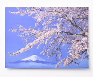 サクラ3Dポストカード ★人気商品！■レンチキュラー加工により立体的に見える ■サクラと富士山