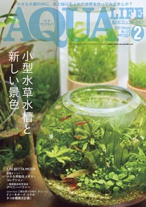 月刊アクアライフ 2023年 02 月号 小型水槽と新しい景色