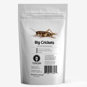Big Crickets15g(フタホシコオロギ15g)