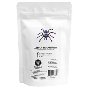 Zebra Tarantula8g(タランチュラ8g）
