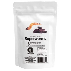 Chocolate coated superworms(チョコレートスーパーワーム)
