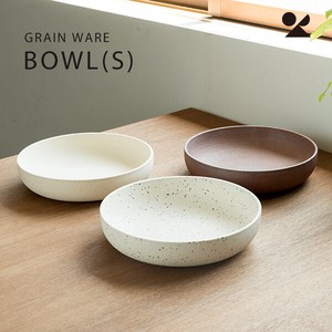 Shigaraki ware Main Plate Ain bowl Made in Japan