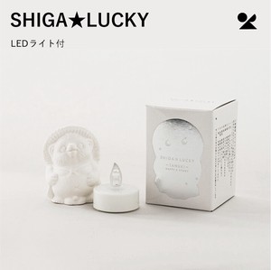 SHIGA★LUCKY (LEDライト付)  信楽焼 日本製 信楽たぬき 滋賀【直送可】