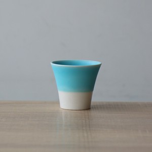 Hasami ware Cup Sake Cup Made in Japan