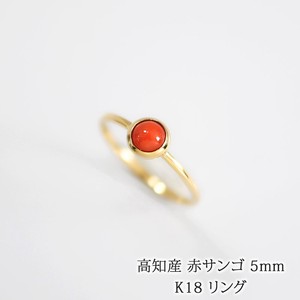 高知産 赤珊瑚 5mm カボション 18金 リング[made in Japan]