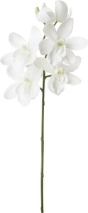 【造花】シンビジューム　ホワイト　FFH−0055W