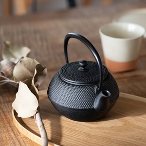 Nambu tekki Japanese Teapot Small Tea Pot Made in Japan