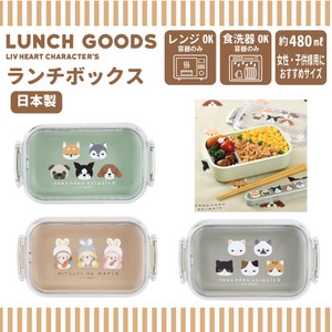 Bento Box Design Lunch Box Bento Box M Made in Japan