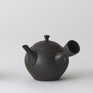 Japanese Teapot Tea Pot