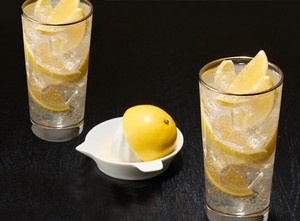 レモン搾り＆サワーグラス2P（タンブラー　ハイボールグラス　レモン搾り　磁器）