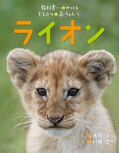 Children's Pets/Animals Picture Book Lion