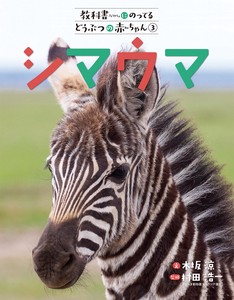 Children's Pets/Animals Picture Book Zebra