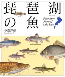 琵琶湖の魚